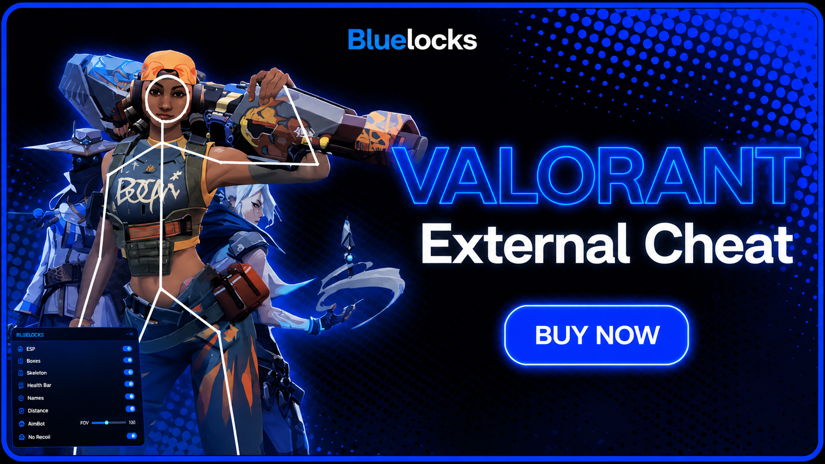 Valorant External Cheat